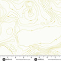 Sun Print Whisper by Alison Glass Topography Chartreuse