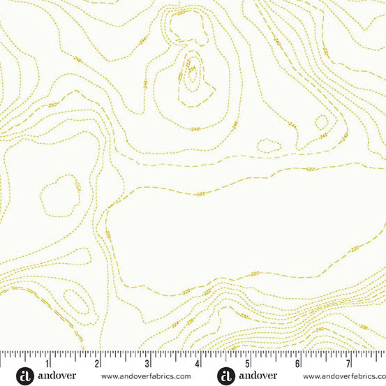 Sun Print Whisper by Alison Glass Topography Chartreuse