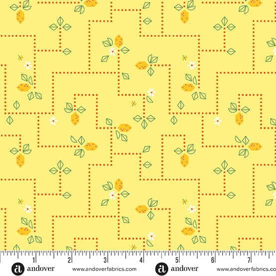 Noras Garden by Shauna Doris Sour Patch Lemonade