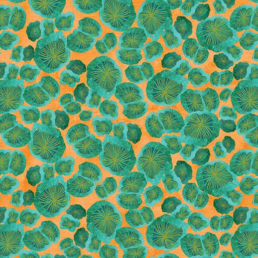 Pod Mushroom Teal/Orange (Modern Mushrooms)