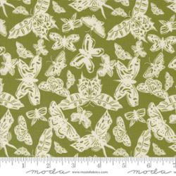 Enchantment Garden - 43172