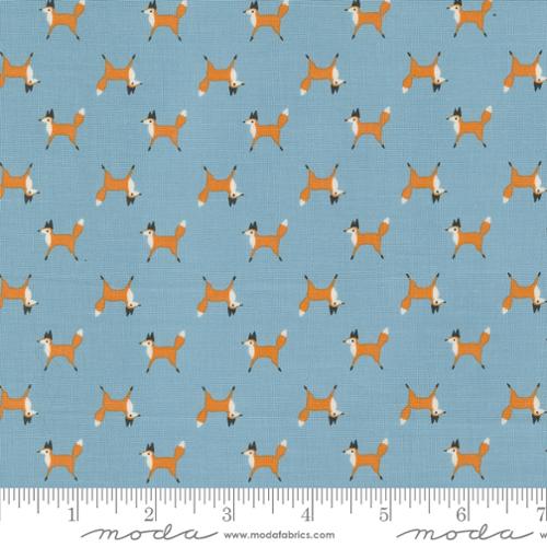 Woodland Wonder Sky - 48394