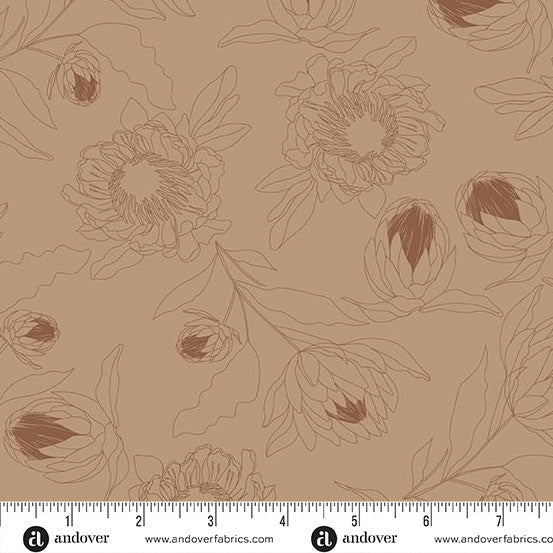Color Me Whispered by Stephanie Organes Protea Whisper Mocha