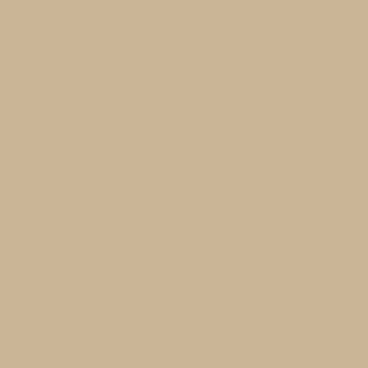 Confetti Cotton Solid Palomino