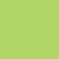 Confetti Cotton Solid Wasabi