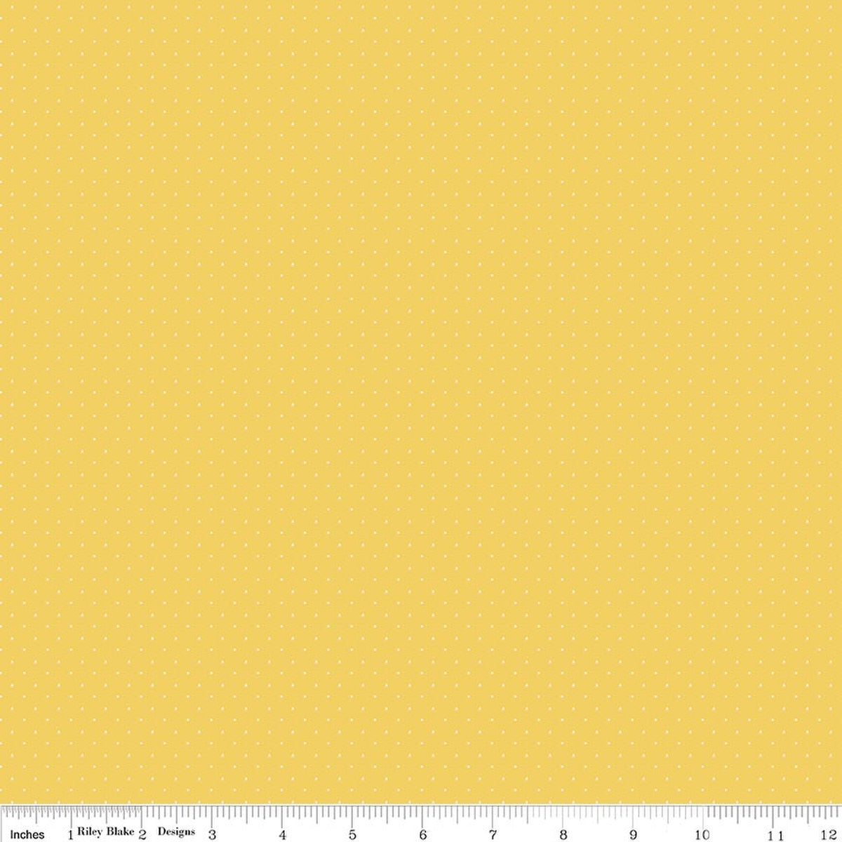 American Jane Pindots Canary