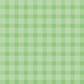 Egg Hunt Plaid Green