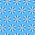Sparkle Mart Altitude - RS0119 13