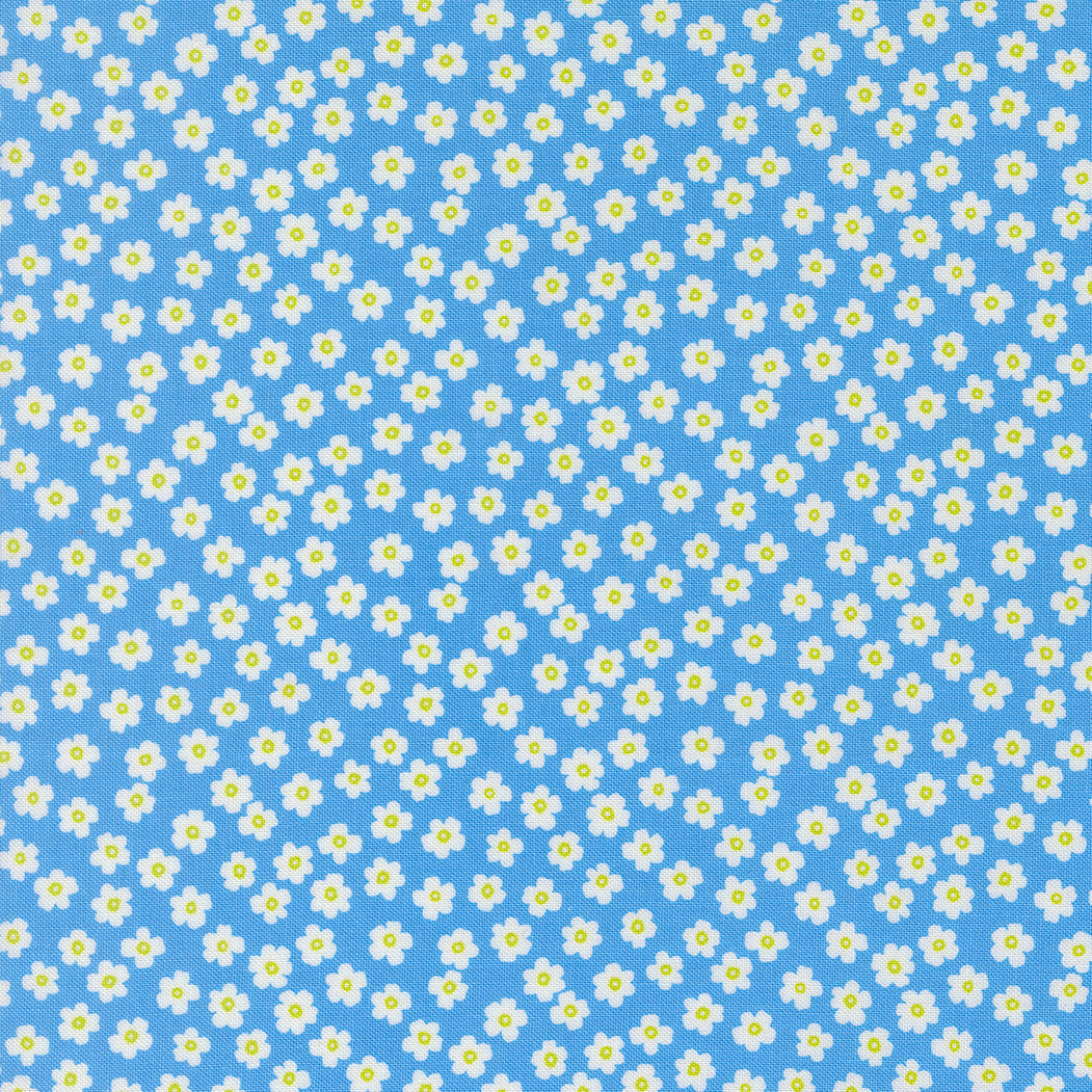 True To Hue Blue My Mind 11566 14