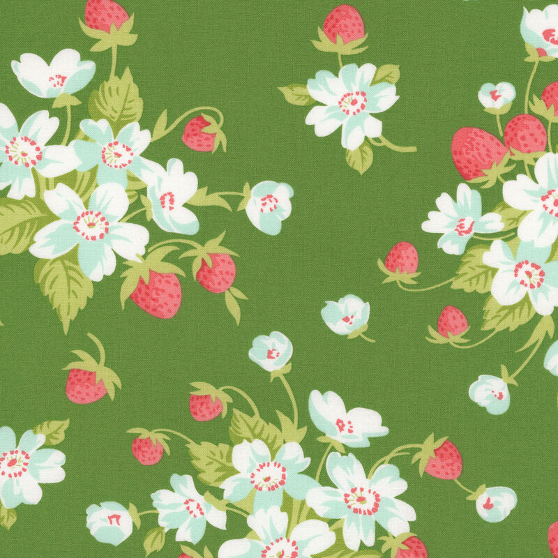 Bloomsberry Green - 55350 15