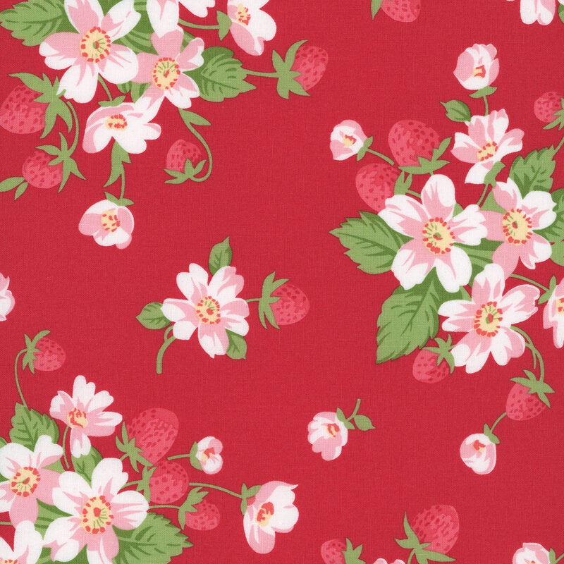 Bloomsberry Red - 55350 18