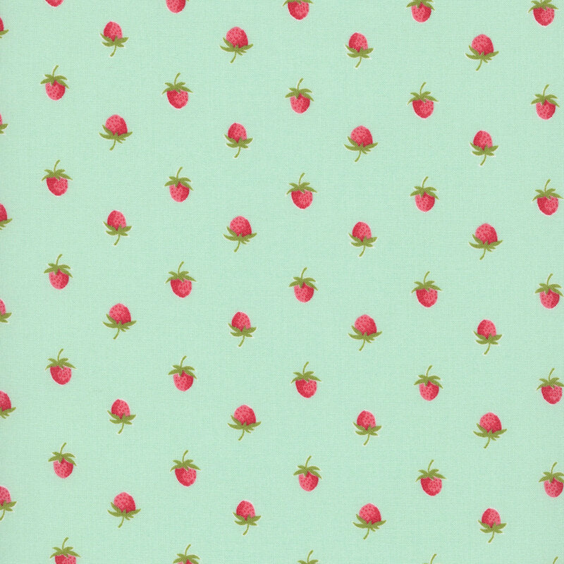 Bloomsberry Aqua - 55352 13
