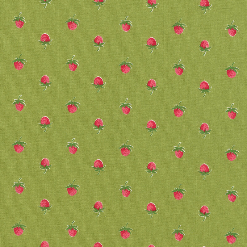 Bloomsberry Leaf - 55352 14