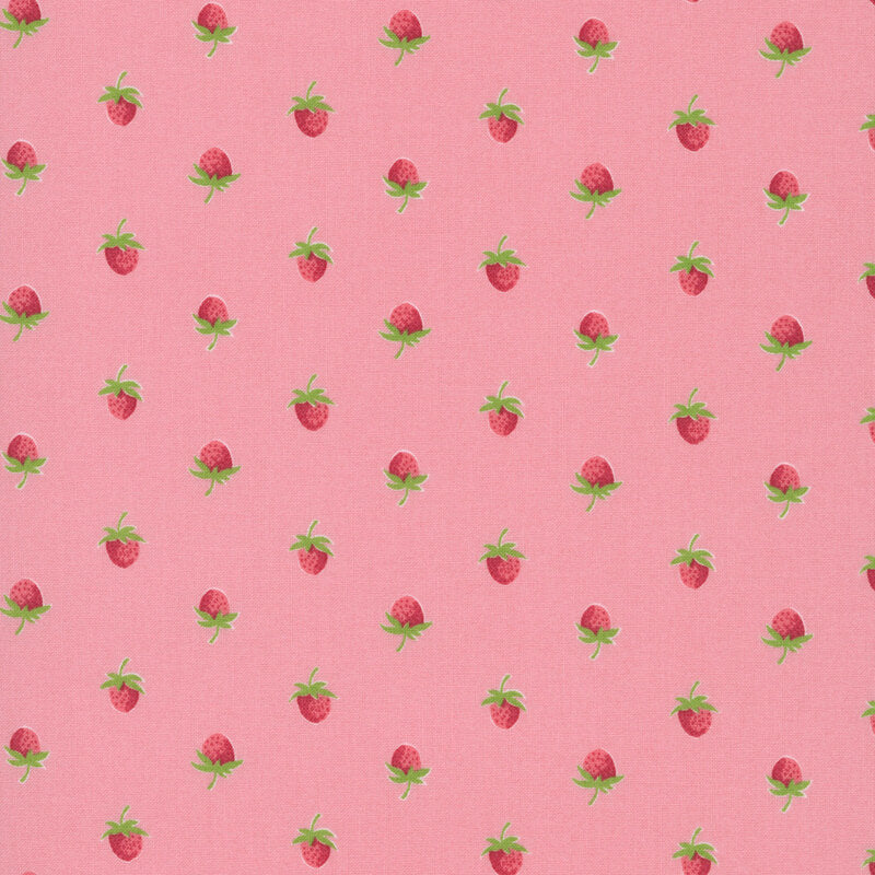 Bloomsberry Blush - 55352 16