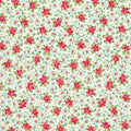 Bloomsberry White - 55353 11