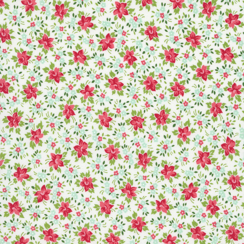 Bloomsberry White - 55353 11