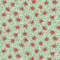 Bloomsberry Aqua - 55353 13