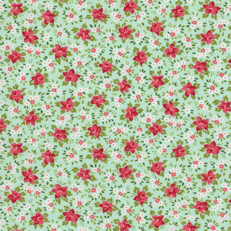 Bloomsberry Aqua - 55353 13
