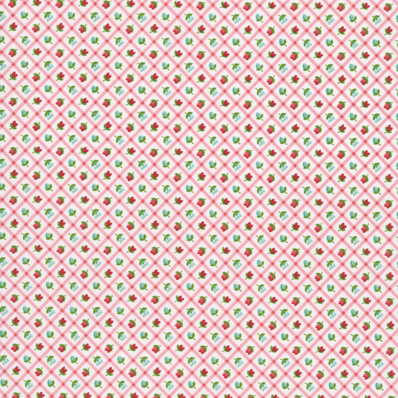 Bloomsberry Blush - 55358 11