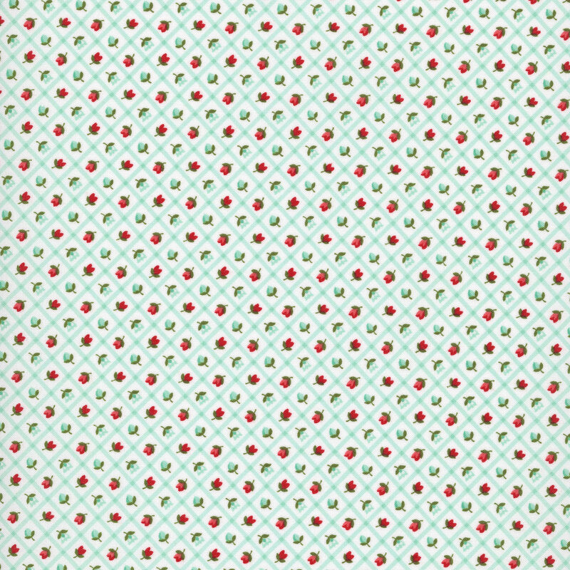 Bloomsberry Aqua - 55358 23